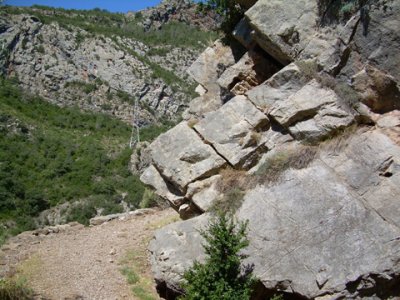 Camino de Arboló