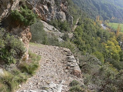 Camino de Arboló