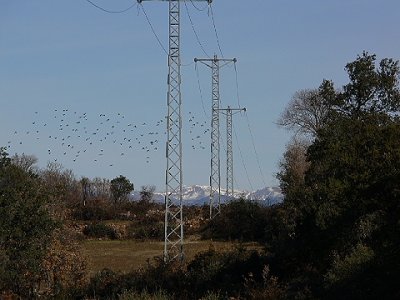 Électricité