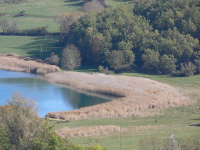 La vida al l'Estany